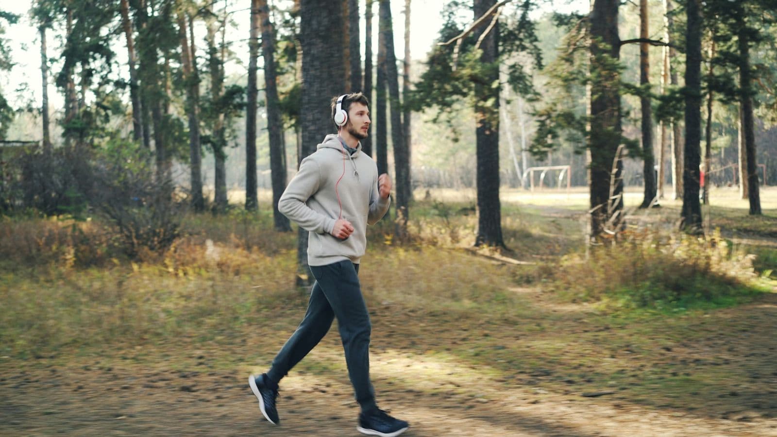 A man on an easy run through a pine forest